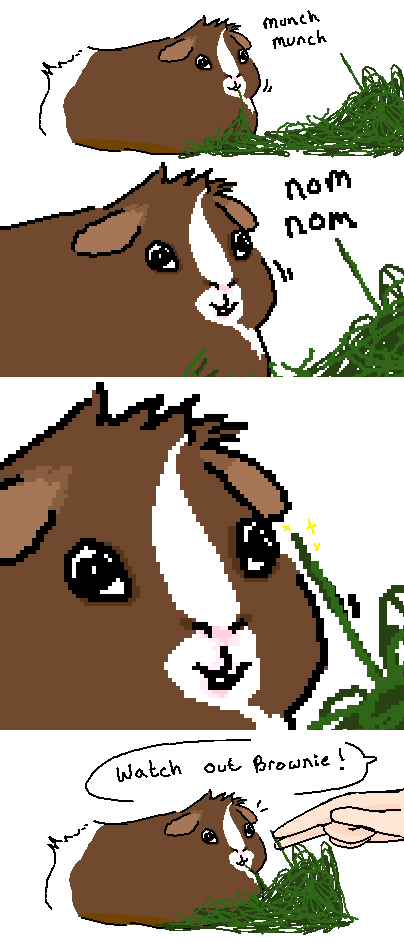 teacupsandpans:  DOOn’t touch my hay even if its about to stab my eye