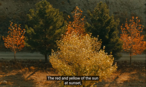 Taste of Cherry (1997), dir. Abbas Kiarostami