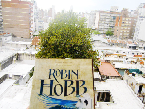 robin hobb