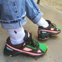 ni-ggas:  Old Raf with Ralph socks 