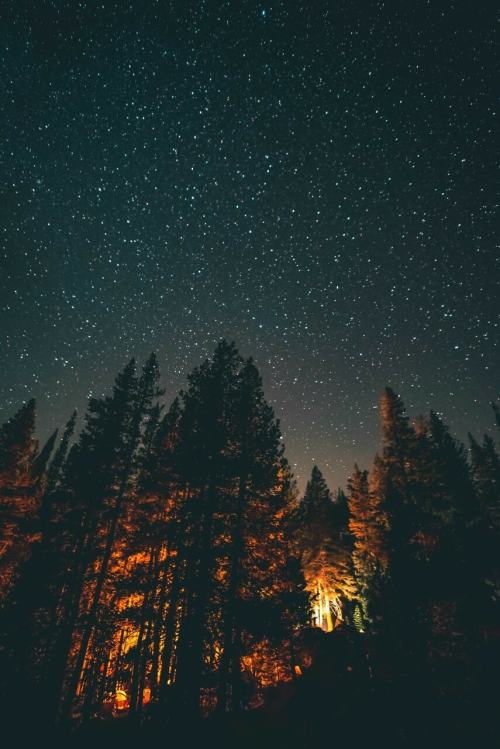 cpahlow: Had to share this @weheartit Bonfire lights up the sky