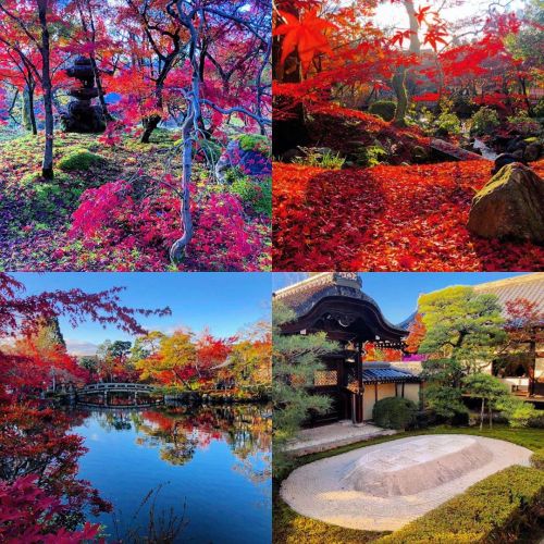 ＼おにわさん更新情報／ ‪[ 京都市左京区 ] 永観堂禅林寺 Zenrin-ji Temple Garden, Kyoto の写真・記事を更新しました。 ーー古く平安時代に『古今和歌集』にも詠われた、
