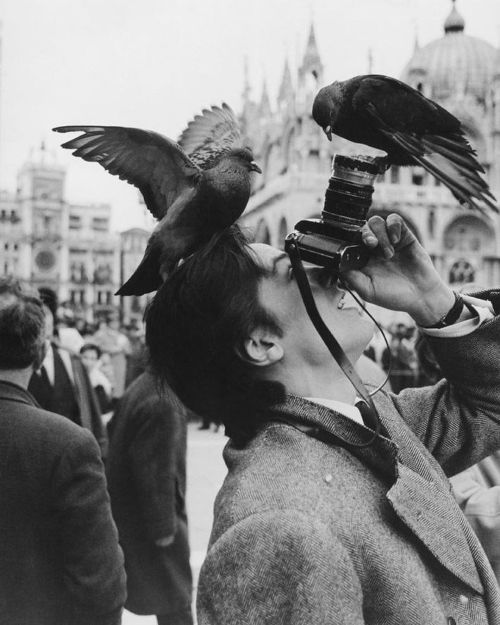 genterie:  Alain Delon in Venice