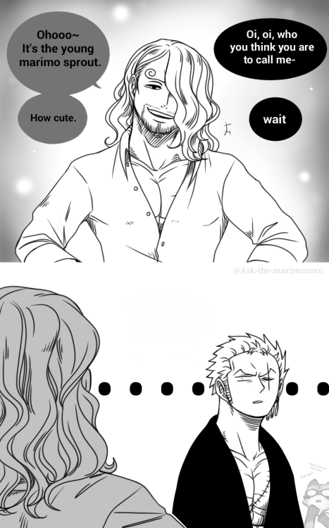 “I should as well cut that hair of yours, goldilocks!”@ask-sanji 