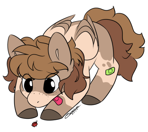 Completed YCHs From Earlier This Year