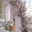 lily-4488