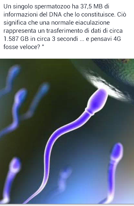 Porn photo bugiarda e incosciente