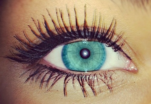 always-believe-in-dreams:  *Sofia 