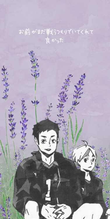 turtleconstellation: Some haikyuu ships + flowers for your lockscreens! (Might do a few solo charact