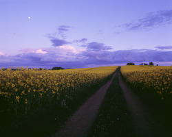 Expressions-Of-Nature: Skåne County, Sweden By Gustaf Emanuelsson ( Website ) (