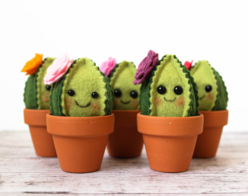 Porn photo vulpix: sosuperawesome:  Felt Succulents