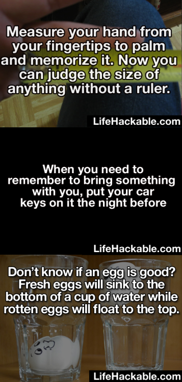 XXX bestoflifehackable:  The Best of LifeHackable photo