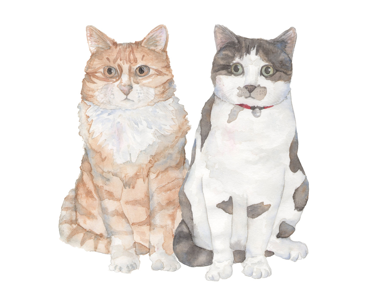 kboyington424:  Cats by Kate Boyington.   Get your pet portrait today at: www.etsy.com/shop/KateBoyingtonArt