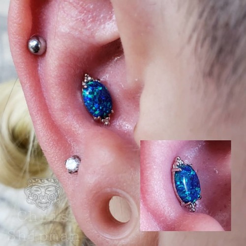 Fresh conch piercing done on @slimy_bones. 18k white gold FaraTà end with a beautiful peacock opal f