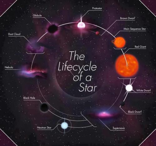 Circulus Vitalis Stellae discovery: The Lifecycle of a Star