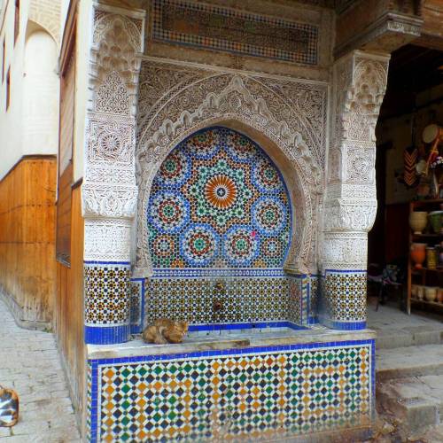 ©Stephanie Broch #Medina #Fez #oldfez #Morocco (hier: Medina de Fes)