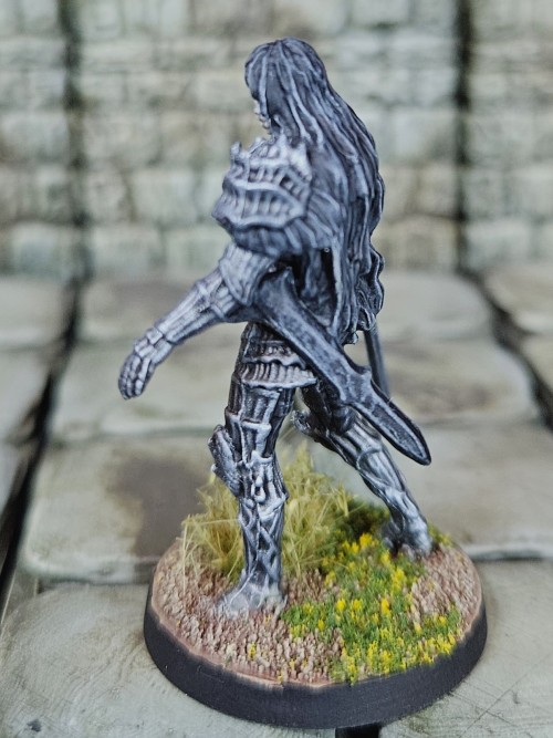 Dark Souls Board Game Darkwraith. Definitely One Of The Rougher Sculpts, The Fact That The Set Is Mostly