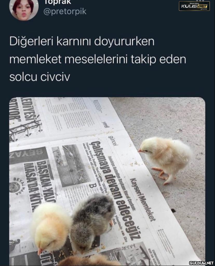 Güncel Adres KULISBET BYD...