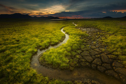 euph0r14:  nature | Green field at the lake