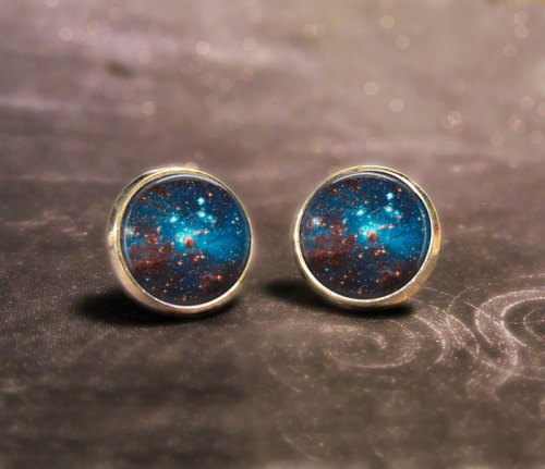 boredpanda:  18+ Of The Most Creative Earrings For Geeky Girls  