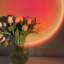 foodlover-n1