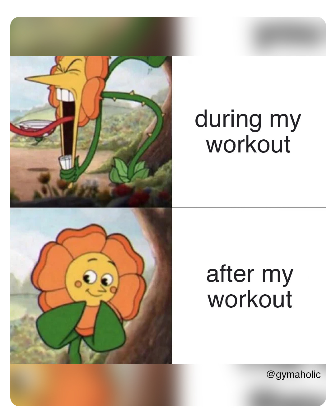 During my workout vs. after my workout