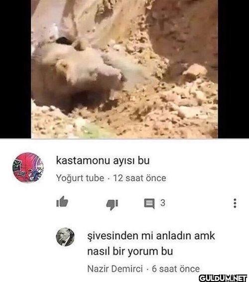 kastamonu ayısı bu Yoğurt...