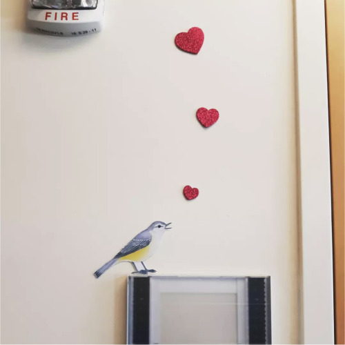 The Valentine’s Day decorations transpired…