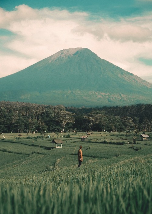 helpingg: Bali, 2017