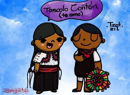 How to say “I love you”(te amo) in  Mexican Indigenous languages.  By: Asociación