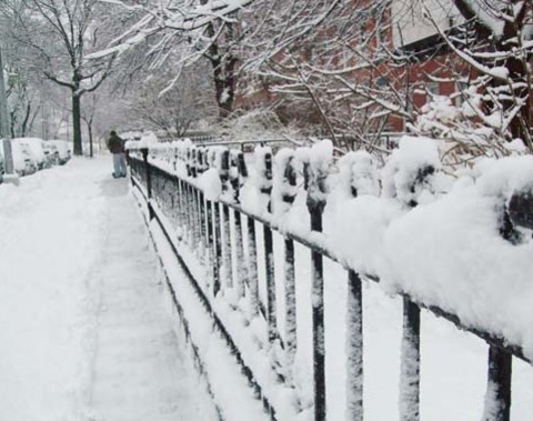 Snow Day
