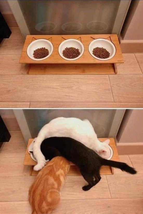 catasters:Making Simple Things Complicated  