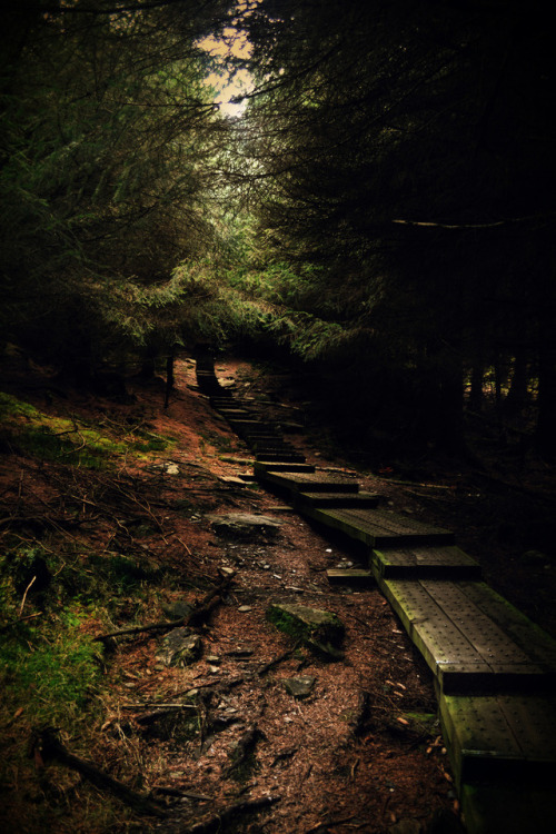 sean-o-neill-photography:Glendalough