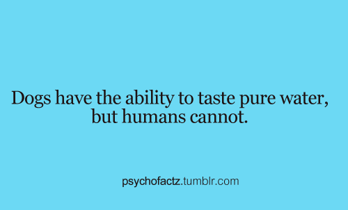 psychofactz:   More Facts on Psychofacts :)