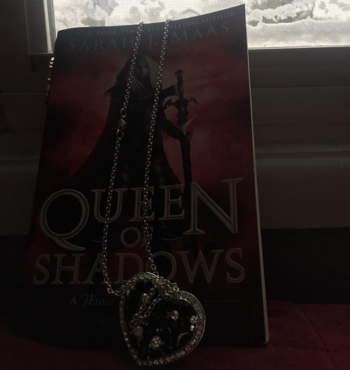 Snow day on the east coast so we break out the big books #bookstagram #books #queenofshadows #readin