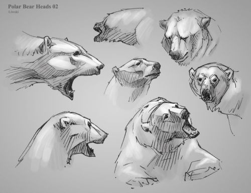 zebrafeets-art:art-tnt:Polar Bear References Artist: UnknownI’m the artist!!!! Google image se