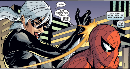 Spider-Man and Black Cat: The Evil that Men Do #2 (2002)Writer: Kevin SmithArtist: Terry Dodson