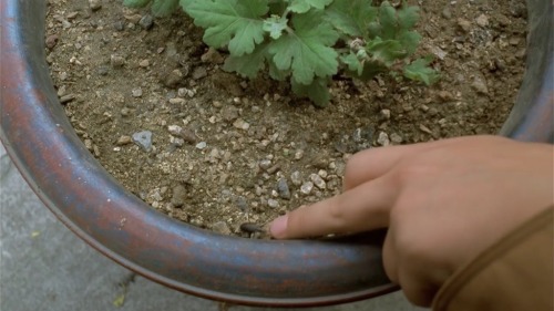 shihlun: Hong Sang-soo - The Day a Pig Fell into the Well1996