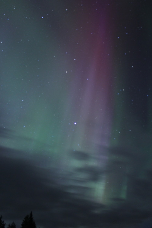 plantcosmos:  aurora over umsjöliden, västerbotten, sweden april 6 2014
