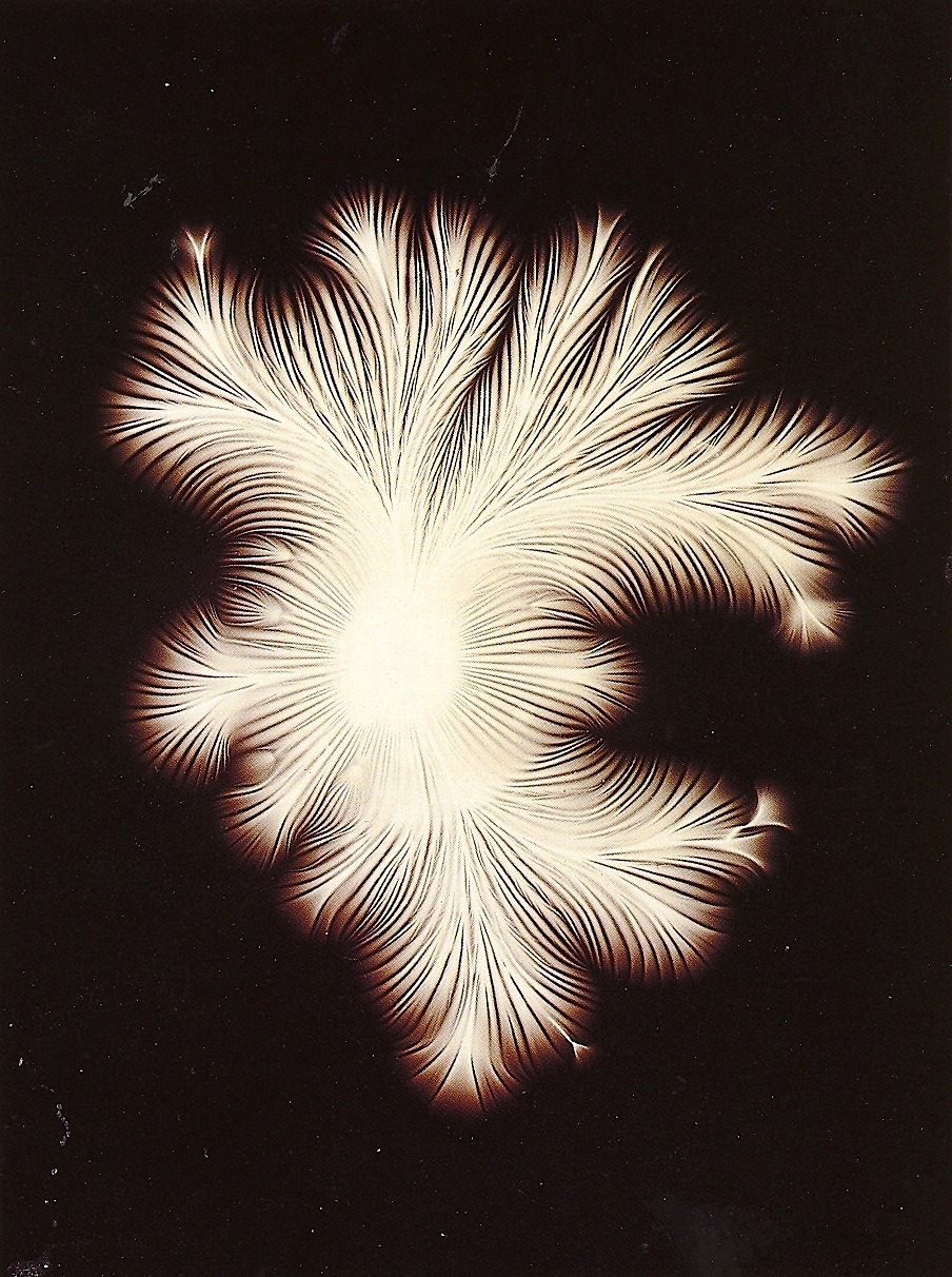 magictransistor:  Étienne Léopold Trouvelot, Etude D’Étincelle, Trouvelot Figures,