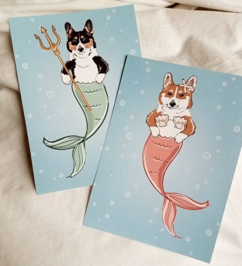 Corgi Merdog Prints //AfricanGrey