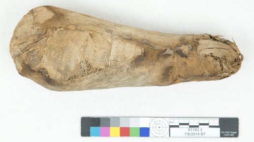 In September, this animal mummy will be joining theexhibition Lost Egypt, a long term loan developed