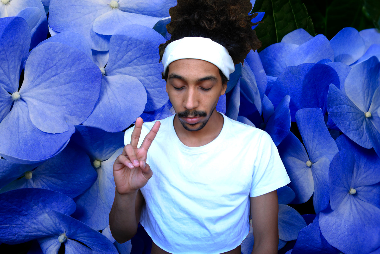 ilsuonodellatromba:  liamgavynsalt:  Plant Boy pt. 27  I need a signed coffee book