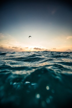 0ce4n-g0d:  Sunset kite by Andy Troy 