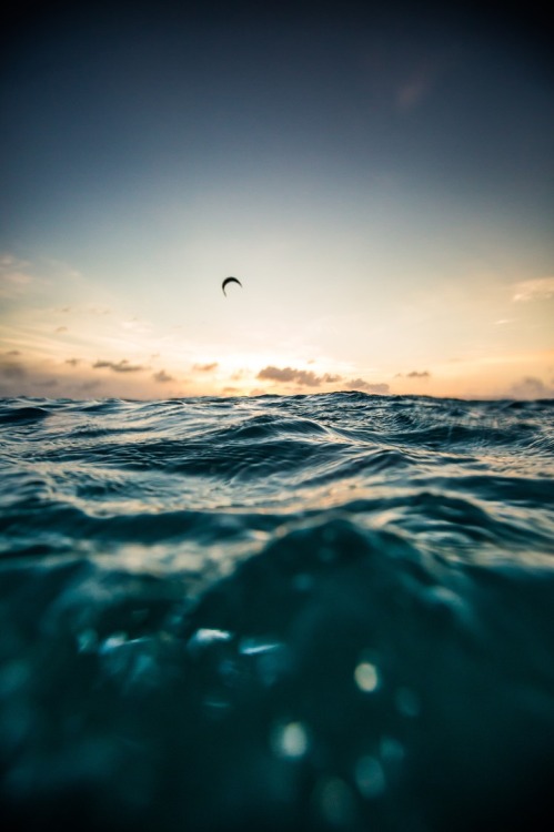 Porn wavemotions:  Sunset kite by Andy Troy photos