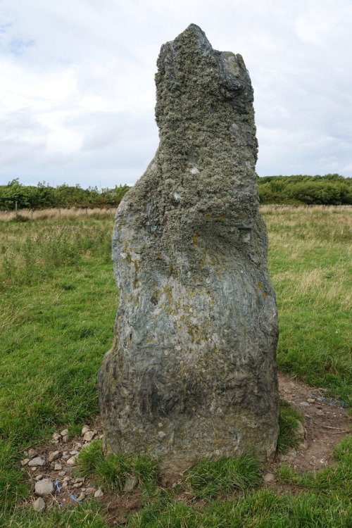 Ty Mawr Standing Stone, Anglesey, North Wales, 30.7.17. A solitary but impressive standing stone; p