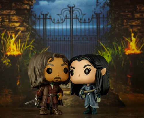 May 27 - #RobsFunkoPhotoADay chalkenge: Love Persevering  #thelordoftherings #aragorn #arwen #middle