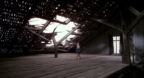 cinemaspam:  10 frames Edward Scissorhands (1990) Directed by Tim BurtonCinematography by Stefan Czapsky 