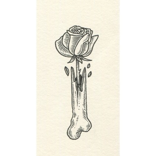 Paradoxes of growth and decay #art #artandsuch #drawing #illustration #design #bone #rose #symbolism