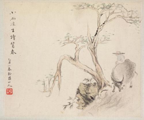 Album of Landscape Paintings Illustrating Old Poems: A Man Sits on a Water Buffalo, Hua Yan, 1700s, 